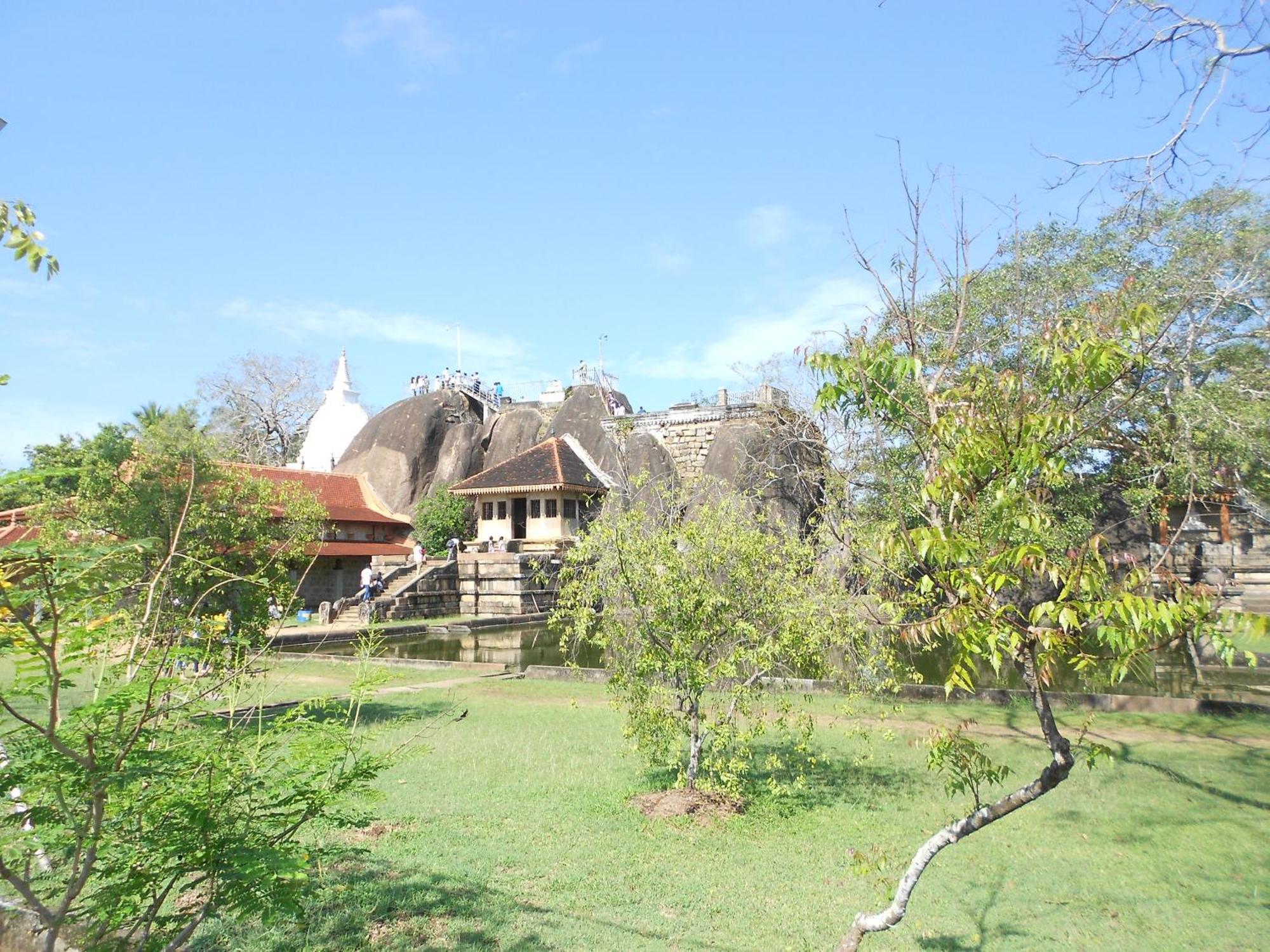Shanith Guesthouse Negombo Exteriör bild
